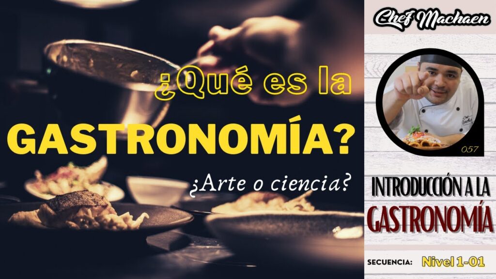 ¿Qué es la cocina profesional?